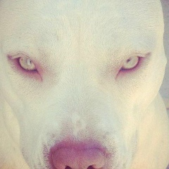 Михаил Евгеньев, 07.12.1988, Павлодар