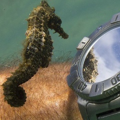 Андрей Кузьмин, 03.05.1978, Великий Новгород