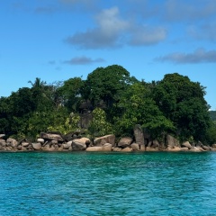 Алеся Алеся, Москва