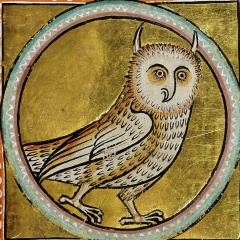 Анастасия Лоога, 15.12.1975, Санкт-Петербург