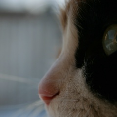 Татьяна Иванова, 04.03, Москва