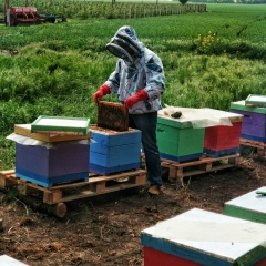 Вадим Остапенко, 09.08.1990, Энергодар
