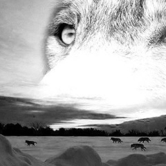 Артём Фралов, 09.01, Екатеринбург