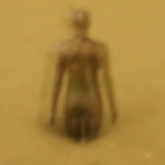 Алексей Макунин