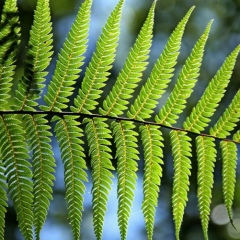 Кирилл Кошкин, 20.02.1997, Минск