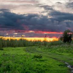 Роман Радин, 17.04.1987, Караганда
