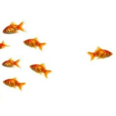 Степан Сергеевич, 20.11.1991, Санкт-Петербург