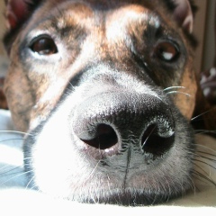 Евгений Терёхин, 22.05.1988