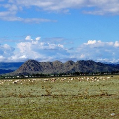 Салават Иргит