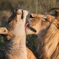 Ангелина Князева, 10.12.1998, Москва