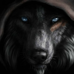 Роман Пламадяла, 30.11.1987, Бендеры