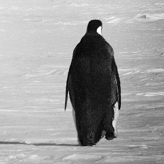 Настя Лукина, 16.04.1986, Москва