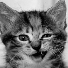 Диана Король, 07.03, Семилуки