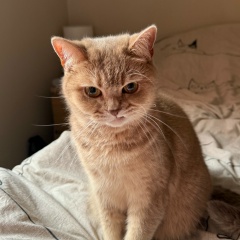 Юля Павелко, 02.05, London