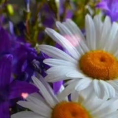 Ирина Аверина, 09.03, Нальчик