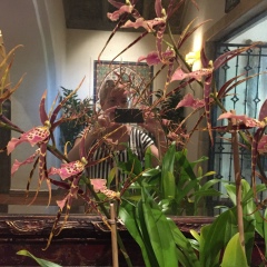 Татьяна Морозова, 24.11, Санкт-Петербург