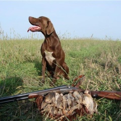 Рош Заитова, 01.06.1988, Уральск