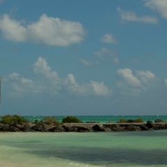 Марія Трибушко, 18.07, Киев