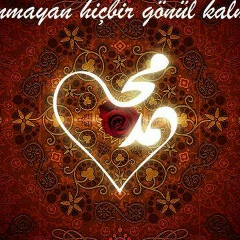 Zafer Shukurlu, 17.05.1993, Ankara