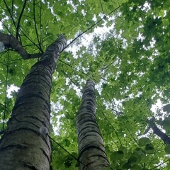 Екатерина Павликова, 29.04.1983, Санкт-Петербург
