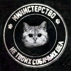 Игорь Авдиенко, 07.07