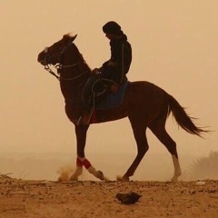 Мага Ахмедов, Москва