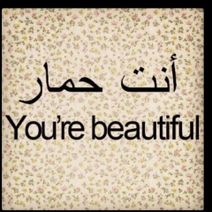 Magno Mohamed, 26.12.1986, Cairo