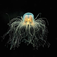 Роман Длужневский, 21.02.1992