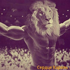 Шах Фазилов, Санкт-Петербург
