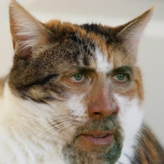 Алексей Лиханов, 21.02.1987, Иркутск