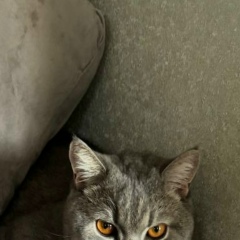 Ринат Каримов, 28.11