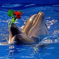 Нуржигит Бакытжанов, 12.07.1992, Астана