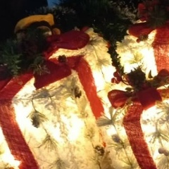 Александр Лялин