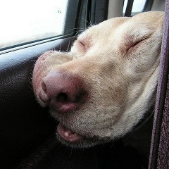 Антн Орлв, 07.07, Москва