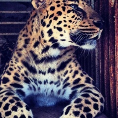 Валерия Стрельникова, 19.11, Алматы