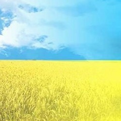 Дмитрий Смишко, 25.04.1987, Запорожье