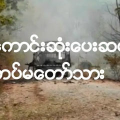 Zawlin Rockey, 01.02.1991