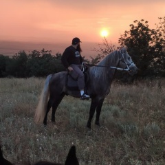 Ислам Гучигов, Москва