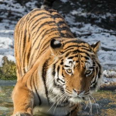 Руслан Вызый, 24.05, Донецк