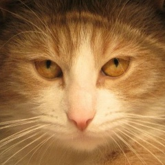 Ваня Розенштейн, 02.02, Санкт-Петербург