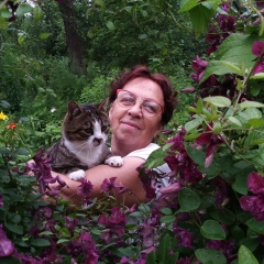 Людмила Иванова, Новосокольники