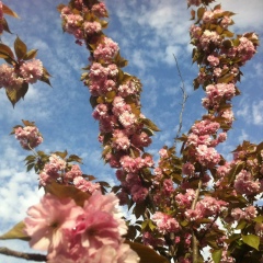 Наталья Баращук, 18.05, Санкт-Петербург