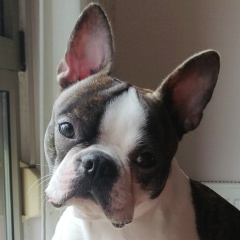 Дмитрий Котелевский, 19.10.1987, Харьков