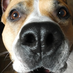 Евгений Харламычев, 11.05.1984, Санкт-Петербург