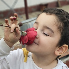 Джамиля Карасова