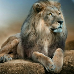 Жандос Капанов, Алматы