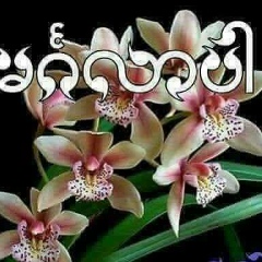 ပန္းပန္ လ်က္ပါ, 01.02.2004