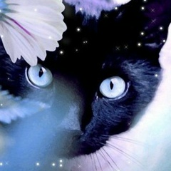 Нелли Синицкая, 07.09, Санкт-Петербург