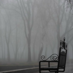 Arik Bagdasaryan, 03.04, Ереван