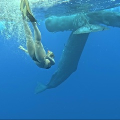 Антонина Сергеева, 06.04.1989, Санкт-Петербург